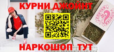 шишки Новокубанск