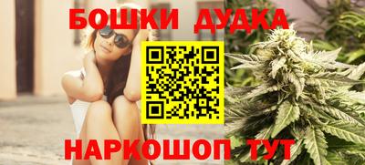 шишки Новокубанск