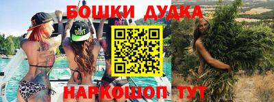 шишки Новокубанск