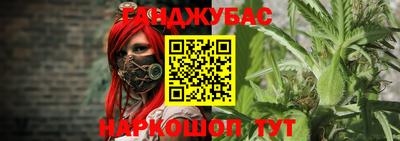 шишки Новокубанск