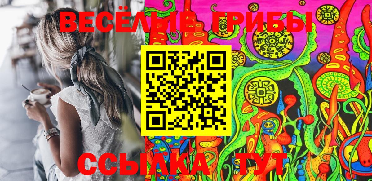 Псилоцибиновые грибы Cubensis  Вход с VPN  Стрежевой 