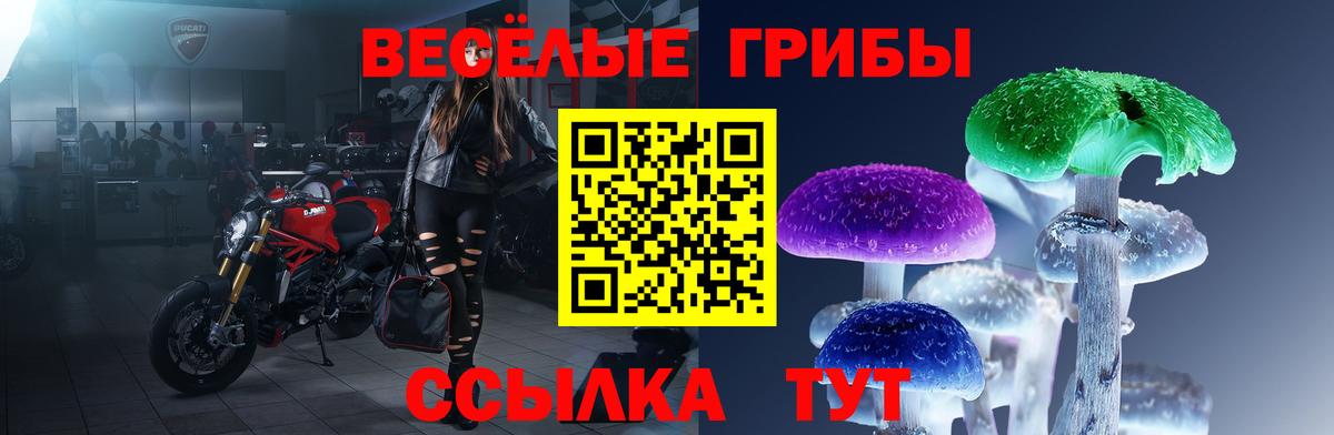 Галлюциногенные грибы ЛСД Стрежевой